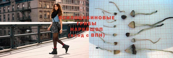 сатива Сосновоборск