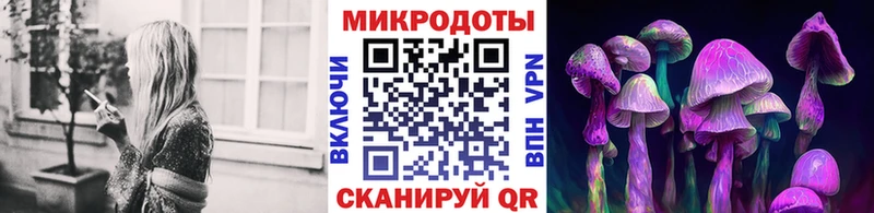 Галлюциногенные грибы Cubensis  Ефремов 