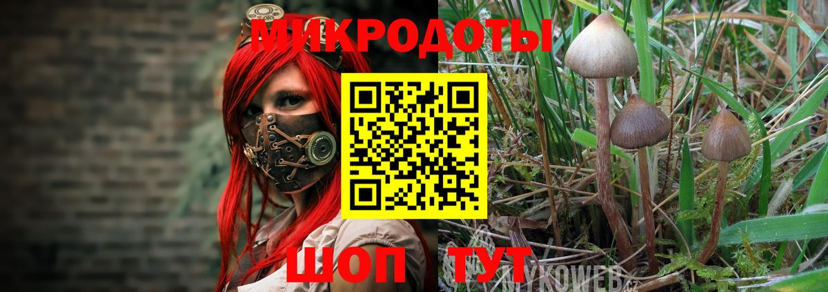 купить закладку  Ефремов  Псилоцибиновые грибы ЛСД 