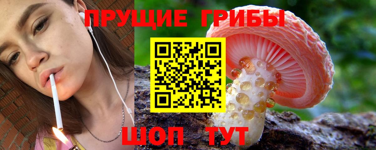 Псилоцибиновые грибы прущие грибы Ефремов