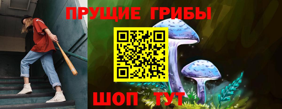 Ефремов  Галлюциногенные грибы Cubensis  Вход с VPN  Псилоцибиновые грибы Psilocybine cubensis 